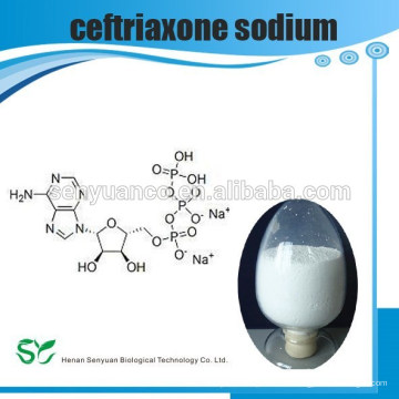 API-Ceftriaxon Natrium, GMP / DMF Steril 74578-69-1 Ceftriaxon Natrium